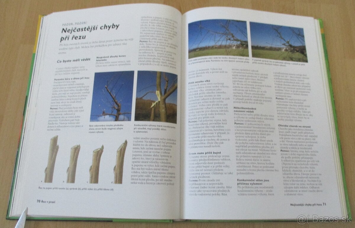 Řez ovocných stromu a keřu - 11