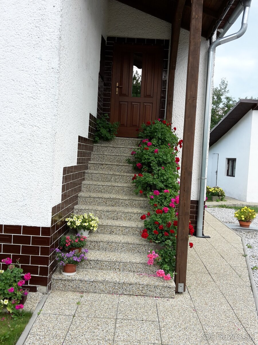 Vymyvana dlazba - 11