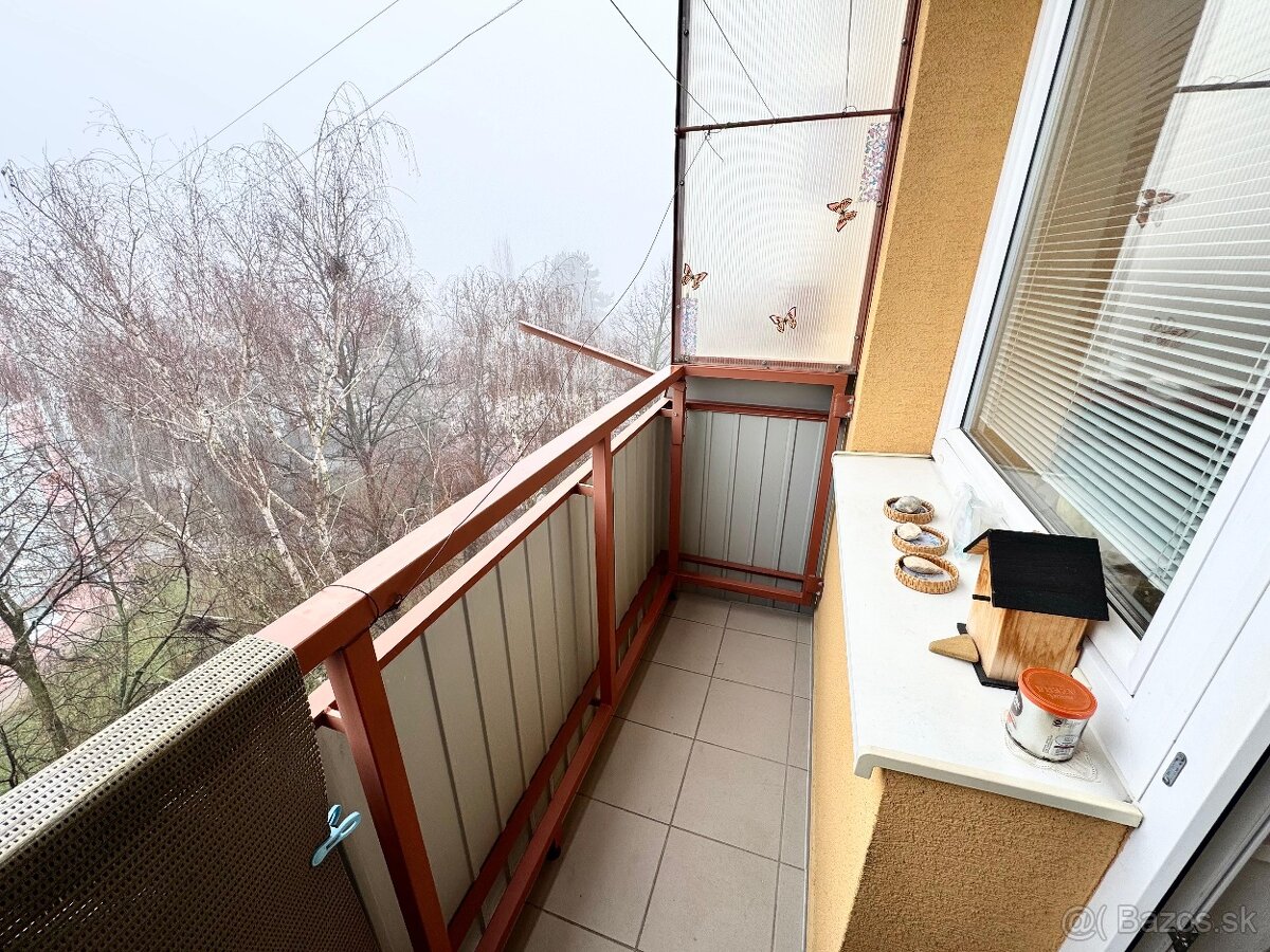 PRIESTRANNÝ 2i BYT, MIRKA NEŠPORA, HOLÍČ - 11