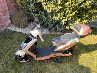 RACCEWAY E FICHTL - 11