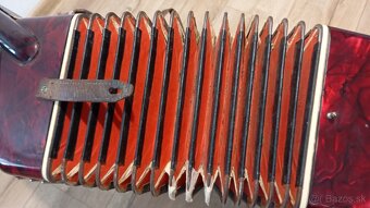 akordeón KEBRDLE - 11