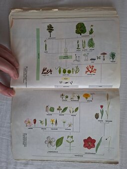 Prírodopis pre 5. ročník ZŠ (1988) - 11
