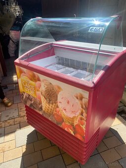 Zmrzlinova vitrina - 11