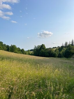 Predám pozemok 8 100 m² – Horná Mičiná - 11
