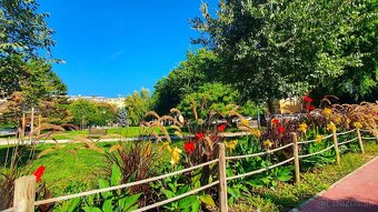 Exkluzívny 4-izbový byt v secesnom dome s výťahom – Šafáriko - 11