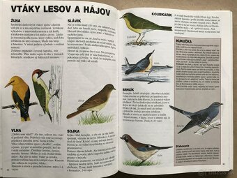Priateľ lesa, Alfred Hitchcock, Dobrodružstvá Samka Klamka - 11