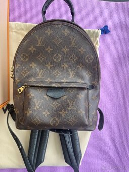 Louis Vuitton Palm Springs PM Backpack - 11