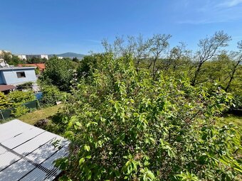 Veľký rodinný dom na Čermáni, bývanie aj podnikanie - 11