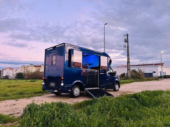 Prepravník koní Renault Master 5-miestny ATM / Automat NOVE - 11