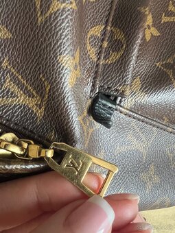 Louis Vuitton Palm Springs MM - 11