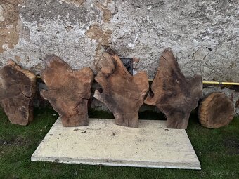 Orechove rezivo - 11