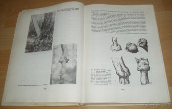 Štepenie, očkovanie a preštepovanie drevín - 11