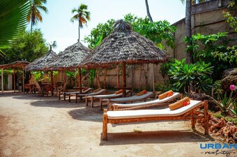 Kúzlo MODERNÉHO OSTROVA V KIWENGWA - 11