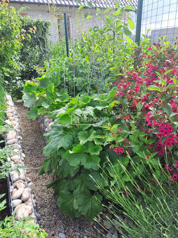 Nízkoenerg. 3-izb. rod. dom obec Láb, 30 km od Bratislavy - 11