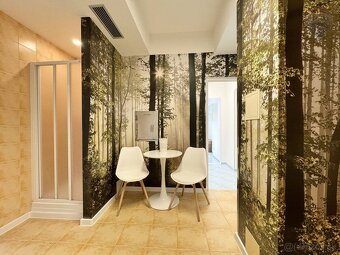 Predaj nebytového priestoru v centre Dunajskej Stredy, rozlo - 11