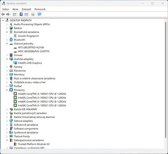 Ideapad 3 14IIL05 /Intel Core i3-1005G1/8GB RAM/FHD/SSD+HDD - 11