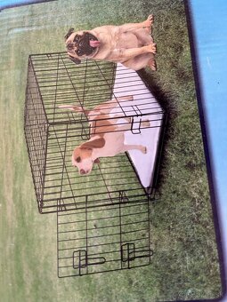 Na predaj chovateľské potreby. - 11