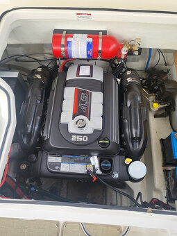 Bayliner 742 Cuddy - 11