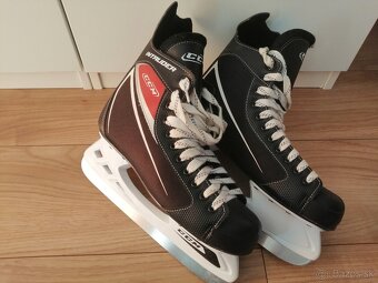 CCM - 11