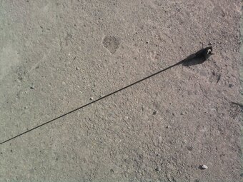 Renault thalia diely - 11