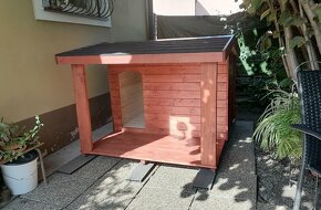 Búda pre psa - 11