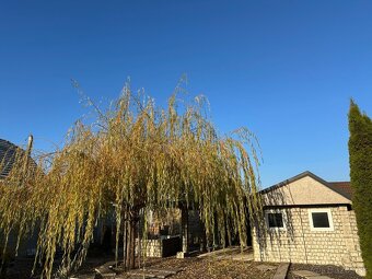 Prenájom novšieho Rodinného domu - 11