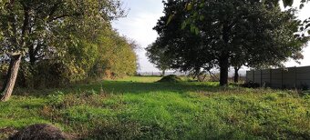 Na predaj vidiecky dom s veľkým pozemkom v Jasovej. - 11