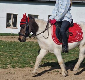 Spoľahlivá športová pony S pre najmenšie deti - 11