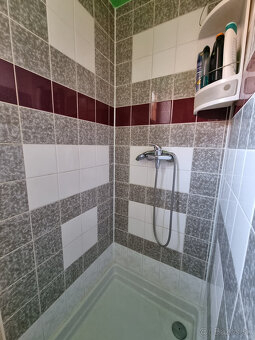 RODINNÝ DOMČEK a POZEMOK 732 m2 + SAD 686 m2 RUDNÍK KOPANICE - 11