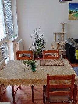 Predaj - 3 izb.,balkón,,parking,Rajka - 11