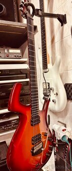 Joe Satriani JS 2400 - 11