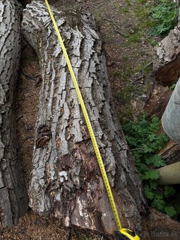 Orechové drevo - 11