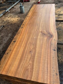 Rezivo Brest Brestove Fošne Kmene Drevo - 11