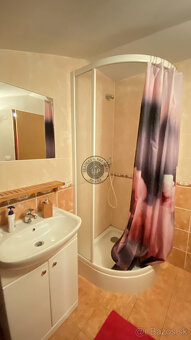 ZNÍŽENÁ CENA - Rodinný dom na samote - Lipovce - 11