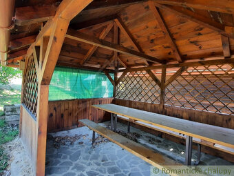 Viničný domček s altánkom, vinicou a ovocným sadom v Malýc - 11