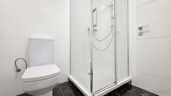 VELKOMETRÁŽNY 1 IZB.AP.BYT-TRNAVSKÁ CESTA,RUŽINOV,BRATISLAVA - 11