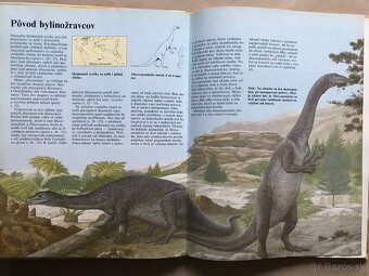 Emily z Nového mesiaca, Biblické príbehy pre deti, Rúfus - 11