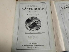 C.G.CALWERS--okolo roku 1895--KÄFERBUCH EINFÜHRUNG IN DIE KE - 11