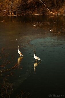 PREDÁM SONY A7RIII V 100% STAVE - 11