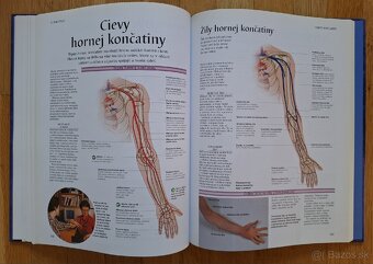 Ludske telo - atlas anatomie cloveka - 11