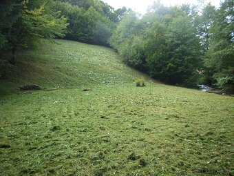 Na predaj krásny lesný pozemok Drietoma-Liešna, 6549m2 - 11