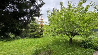 Záhradná chatka v rekreačnej časti Košice - Sever - 11