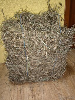 Zakrslý králik s ohradou - 11