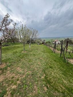 ZĽAVNENÉ • Na predaj vinohrad. domček s pivnicou a pozemkom - 11