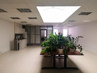 Prenájom Open spacu - Palisády, 130 m2 - 11