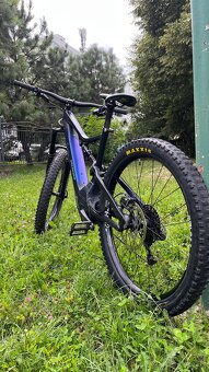 Specialized levo fsr - 11