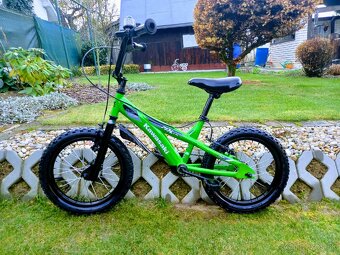 BMX 16-Kawasaki - 11