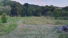Rizikový výrub a orez stromov, kosenie a údržba pozemkov - 11