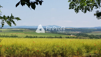 Predám dva vinohradnícke domy s pozemkami medzi vinohradmi p - 11