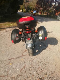 Kawasaki KLV 1000 / Suzuki DL 1000 - 11